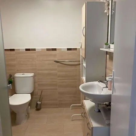 ホームステイ Rodinny ミクロフ