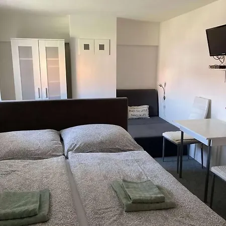 Rodinny * ミクロフ